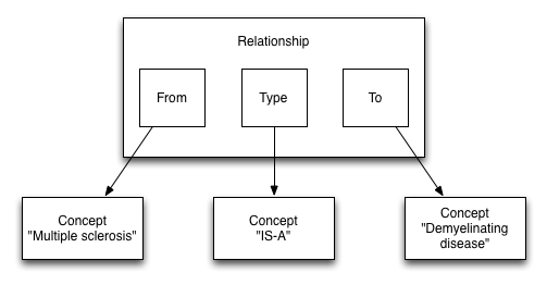 Snomed Relationship Structure